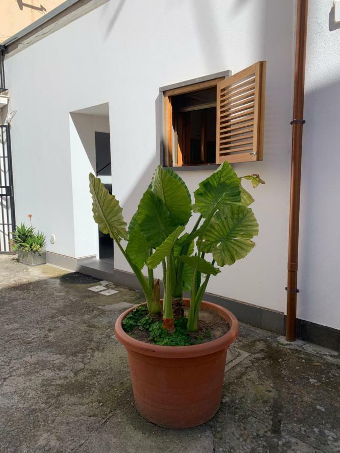 Apartament Arco 37 Alghero Zewnętrze zdjęcie